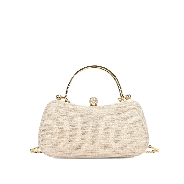 Small Shiny Bag
